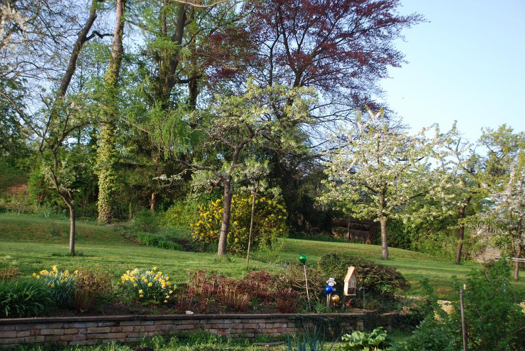 Villa Les Bleuets Scharrachbergheim-Irmstett Camera foto